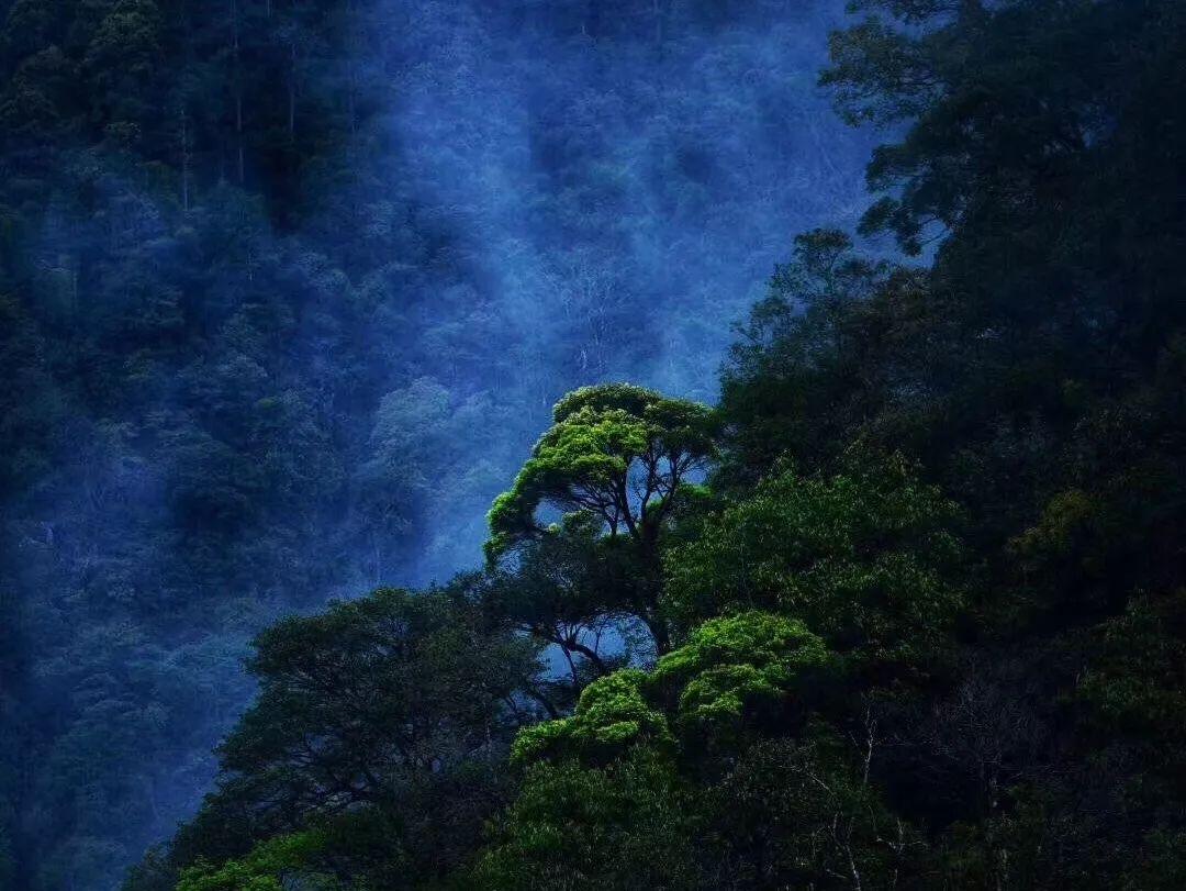 幻想三国志5