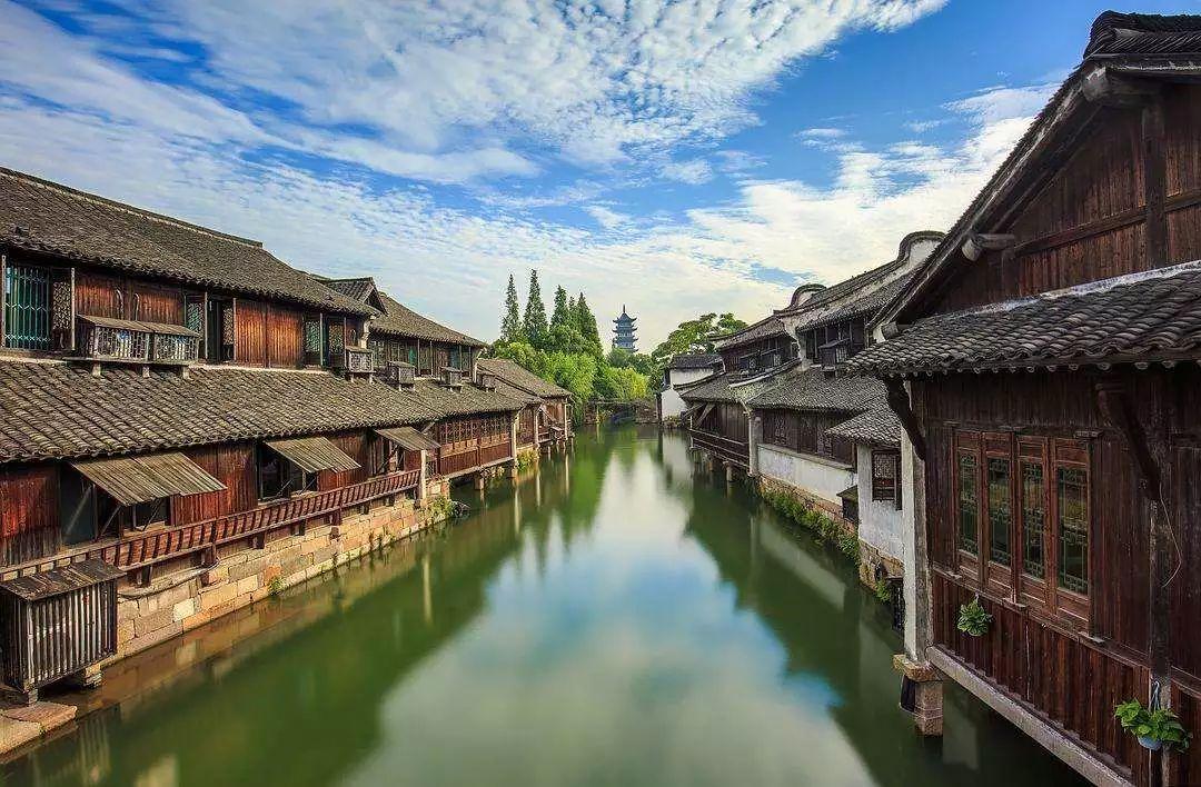 俄专家:中国展会吸引俄企并为其提供广阔机遇