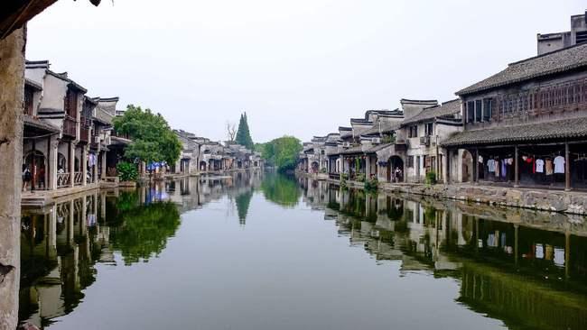 逃离神秘之林
